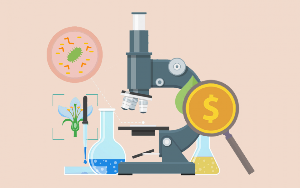 Research proposal hkust picture
